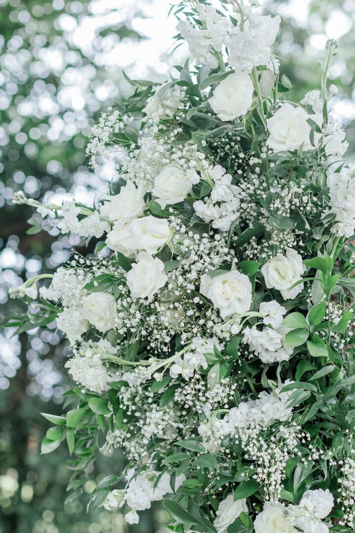A close up of white flowers in the middle of trees
